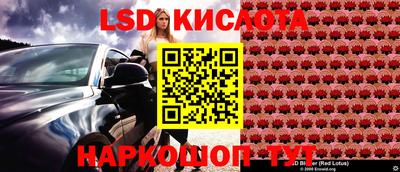 apvp Аргун