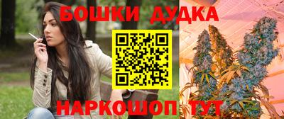 СК Будённовск