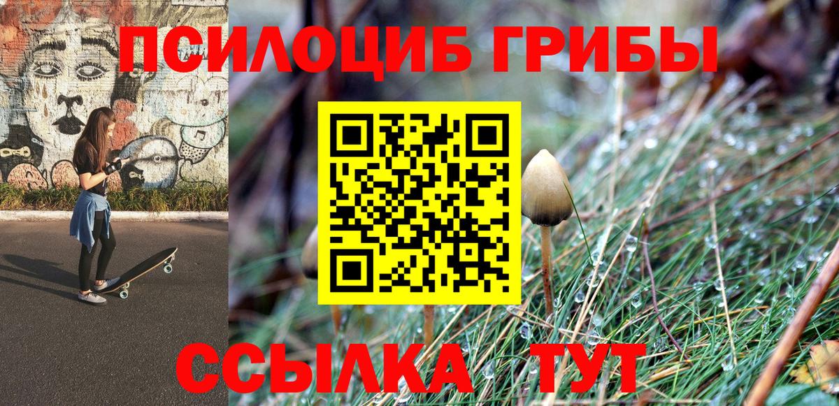Белореченск  Галлюциногенные грибы Psilocybine cubensis  магазин    Вход с VPN 